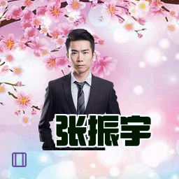 张振宇